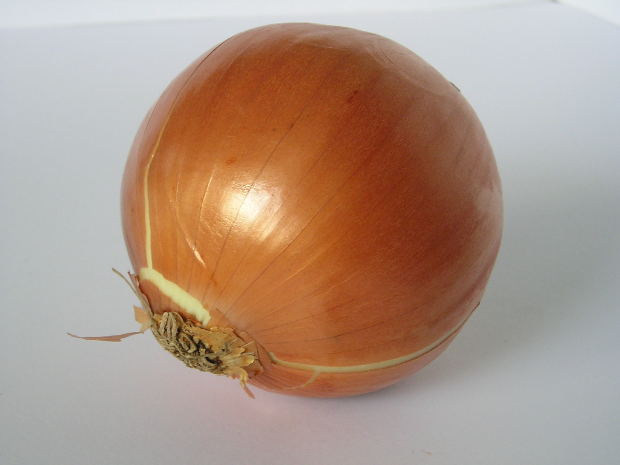 Onion extract, diabetes and cholesterol