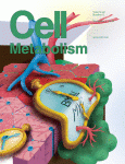 Journal-Cell-Metabolism-dec-2015