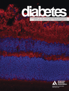journal-diabetes-jan16