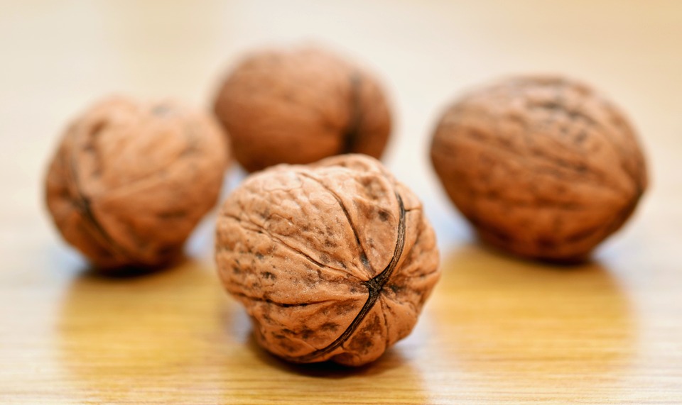 Walnuts Lower Cholesterol