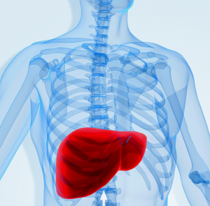 Liver Disease Risk Greater for Type 2 Diabetics