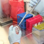 Researchers Testing Beta Cells