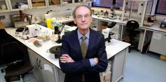 Professor Roy Taylor Reversing Diabetes