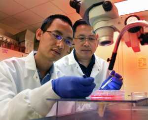 Drs. Zhiping Liu  and Yuqing Huo 