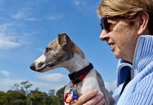 Dogs and Diabetes - Can Dogs Help People with Diabetes